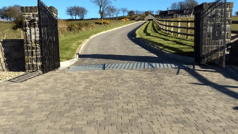 Black metal garden gates